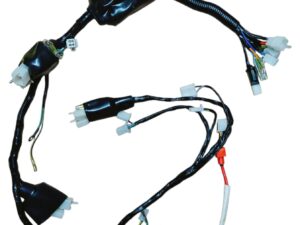 ARNES ELECTRICO