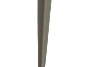 BAYONETA